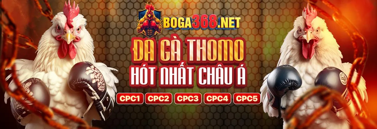 Các chương trình khuyến mãi 8xbet code mới nhất 2026