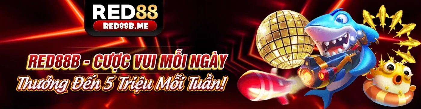 Hình ảnh chính về mã 8xbet và câu hỏi thường gặp