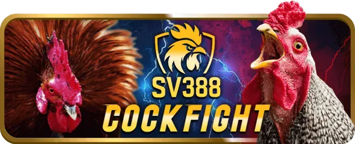 Đá Gà Trực Tiếp 8xbet