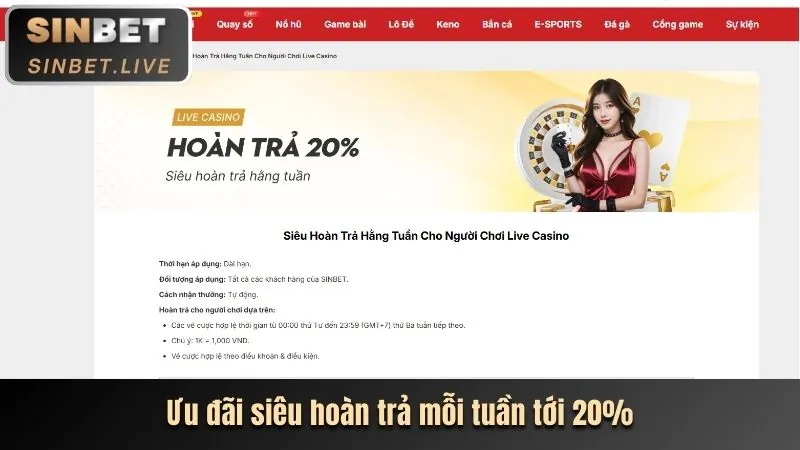 Hoa hồng hấp dẫn